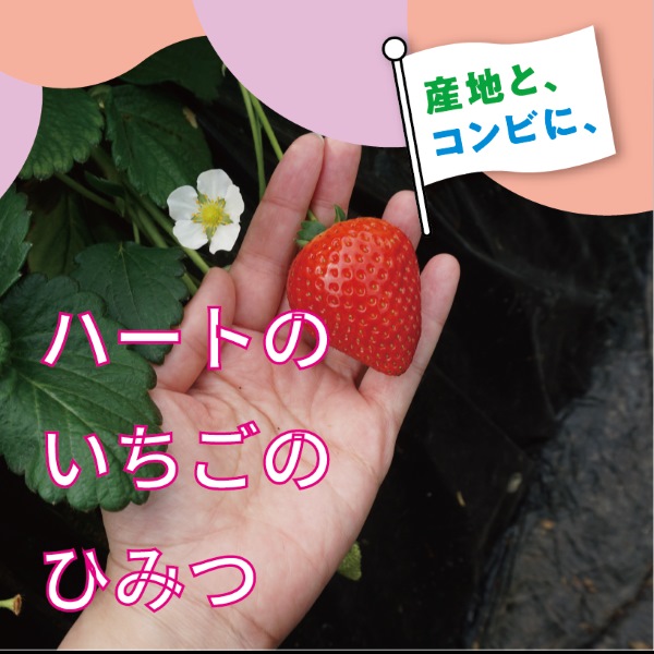 日本各地の生産地を持続的に支援する「産地と、コンビに」のご紹介
