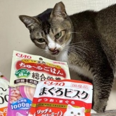 寄贈量は昨年の約3倍 「ファミリ～にゃ～ト ペットフードドライブ」 9,067匹の1日分の食事相当を寄贈 ～猫への恩返しは地域の動物保護活動へ～